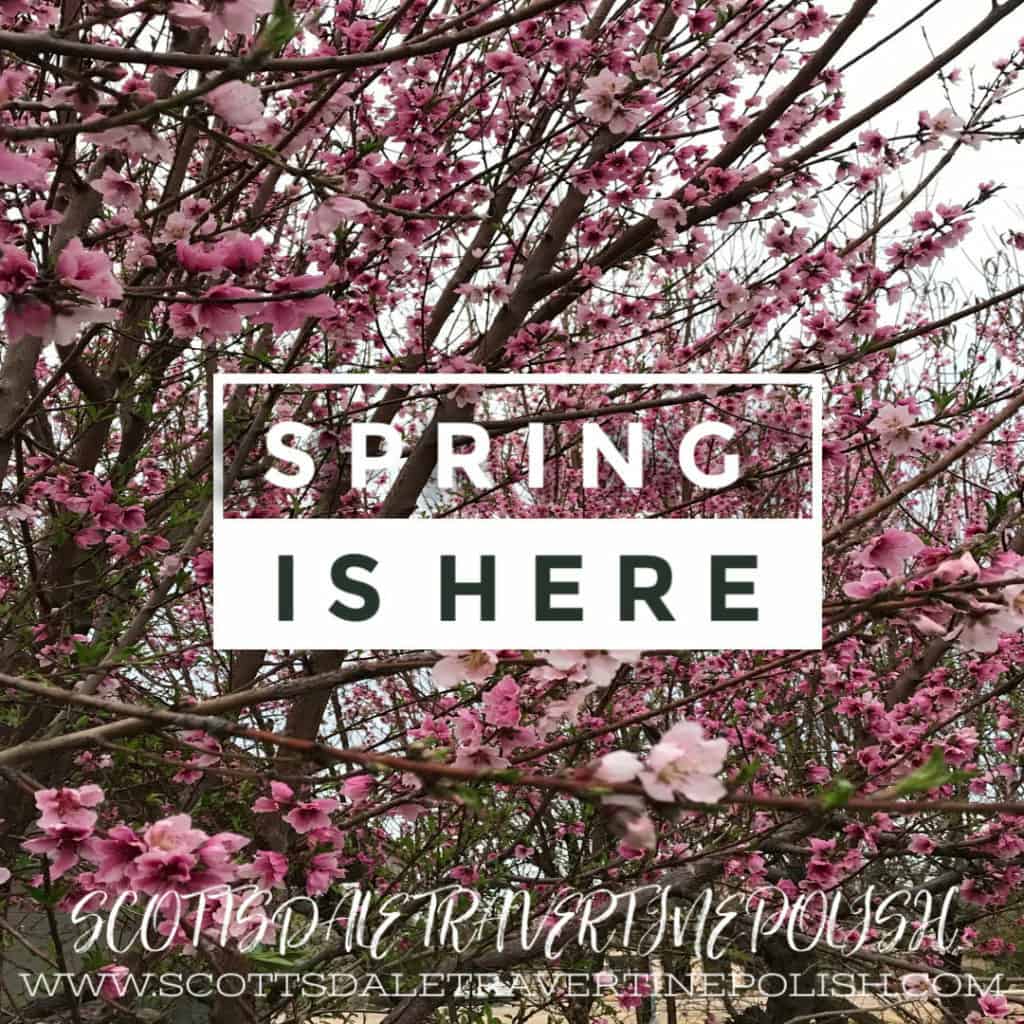 Spring-is-Here-1024x1024